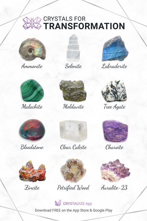 Crystals for Transformation infographic with stone images and names. Best Healing Crystals, Gemstones Chart, Crystal Healing Chart, Crystal Guide, Crystals Healing Properties, New Experiences, Spiritual Crystals, Crystals Stones, Crystal Healing Stones