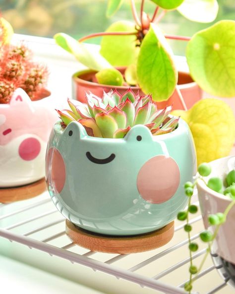 Frog Pot, Cute Froggy, Frog Planter, Starter Home, Spoil Yourself, Small Plants, Dream Room, Potted Plants, Instagram A