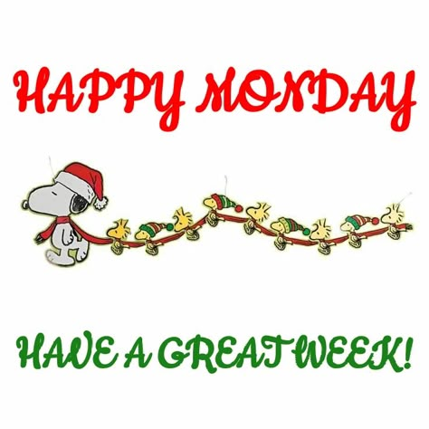 Snoopy Xmas, Monday Holiday, Monday Greetings, Good Morning Christmas, Morning Christmas, Monday Christmas, Mental Health Inspiration, Team Quotes, Beautiful Sayings