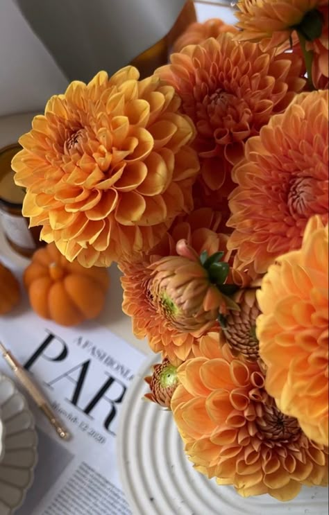 Flowers Autumn Aesthetic, Autumn Flower Aesthetic, Autumn Flowers Aesthetic, Fall Flowers Aesthetic, Autumn Flowers Wallpaper, Lifestyle Content Creator, Dahlia Bouquet, Fall Palette, Autumn Rain