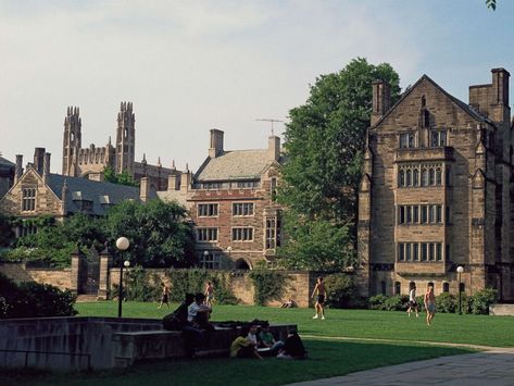 The 20 Most Beautiful College Campuses in the U.S. Eli Whitney, Ivy League Colleges, Rice University, Cornell University, College Classes, Yale University, Top Colleges, American Universities, College Admission