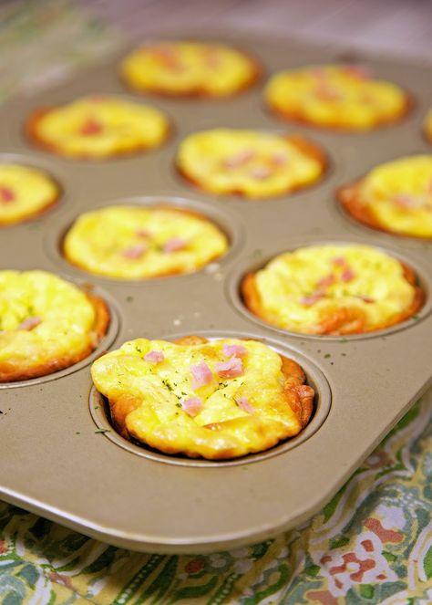 Ham & Cheese Biscuit Quiches Recipe - ham and cheese quiche baked in a biscuit crust. Great way to use up leftover holiday ham! Freeze leftovers for a quick meal later!! Quiche With Biscuit Crust, Biscuit Quiche, Egg Quiche Recipes, Freeze Leftovers, Biscuit Crust, Cheese Biscuit, Ham And Cheese Quiche, Honey Baked, Leftover Ham Recipes