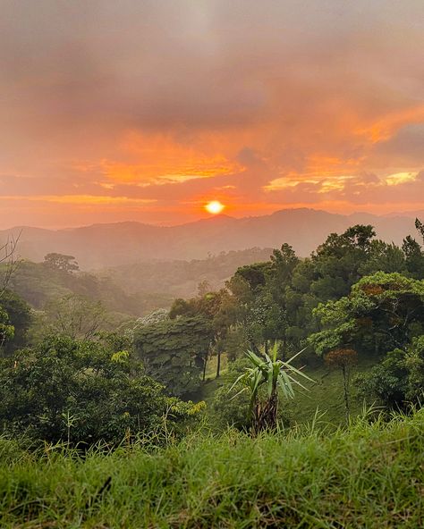 While Costa Rica may be a small country, it's packed with things to do. This country is filled with pristine beaches, moody cloud forests, towering volcanoes, thundering waterfalls, and amazing wildlife. An outdoor lover's dream! Luckily, it's possible to see all these highlights during Maui Kihei, Costa Rica Itinerary, Hawaii Trip Planning, Kihei Maui, Manuel Antonio National Park, Arenal Volcano, Mountains Forest, Boarding Passes, Costa Rica Travel