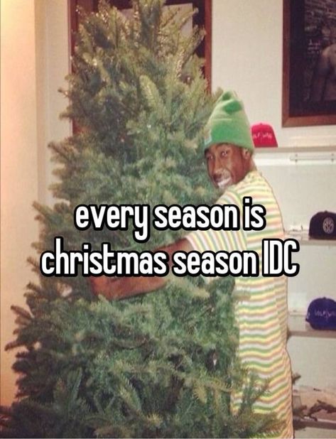 its tyler the creator holding tbr tree Tyler The Creator Christmas, Tyler The Creator, Pretty Cool, Christmas Seasons, The Creator, Halloween, Christmas, Quick Saves