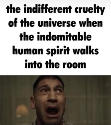 The Indomitable Human Spirit, Indomitable Human Spirit, The Punisher, Hard Quotes, Human Spirit, Wholesome Memes, Silly Me, Lose My Mind, Really Funny Pictures