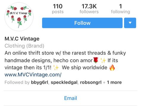 shop ig feed bio ideas Online Clothing Store Instagram Bio, Instagram Bio Ideas For Clothing Store, Thrift Bio Ideas, Shop Bio Ideas, Bio For Clothing Brand Instagram, Thrift Shop Bio Ideas Instagram, Depop Bio Ideas, Store Names Ideas, Selling Clothes Online