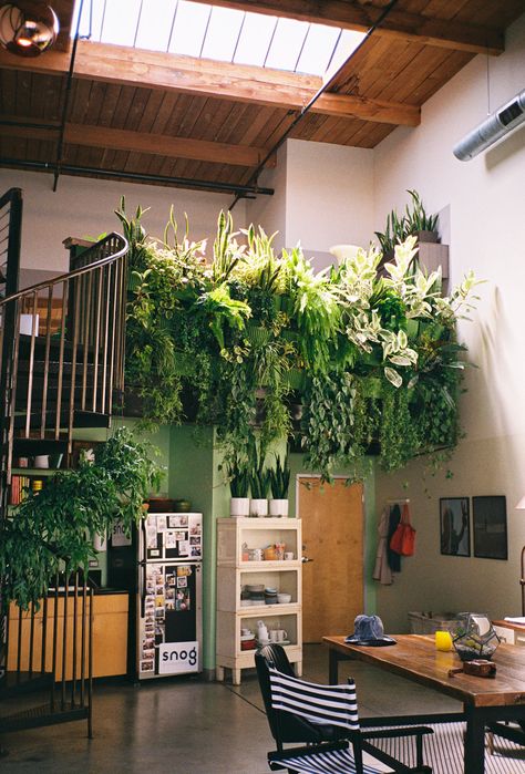 BLOG Deco Nature, Vertical Gardens, Indoor Gardens, The Ceiling, Style At Home, Vertical Garden, Better Homes And Gardens, Home Fashion, Green Plants