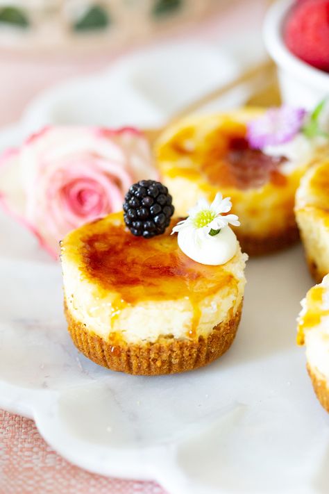 Creme Brulee Cupcakes, Easy Recipes For Snacks, Brulee Cheesecake, Creme Brulee Cheesecake, Recipes For Snacks, Mini Cheesecake Recipes, Creme Brûlée, Cheesecake Bites, Mini Cheesecakes