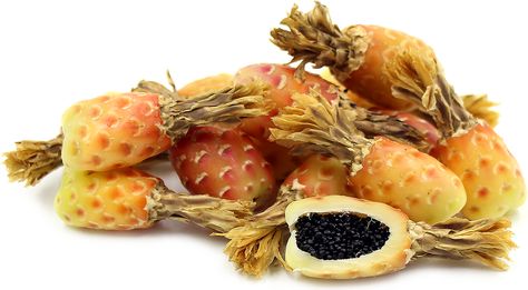 Barrel Cactus Fruit Information and Facts Barrel Cactus, Nutritional Value, Exotic Fruit, Medicinal Plants, Cactus And Succulents, Fruit Recipes, Fruits And Vegetables, Barrel, Raspberry