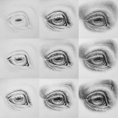 Realistic Horse Eye Drawing, Drawing Horse Eyes, How To Draw Horse Eyes, Horse Eyes Drawing, How To Paint A Horse, Horse Art Drawing Sketches, How To Draw Horse, Horses Anatomy, Realistic Tutorial