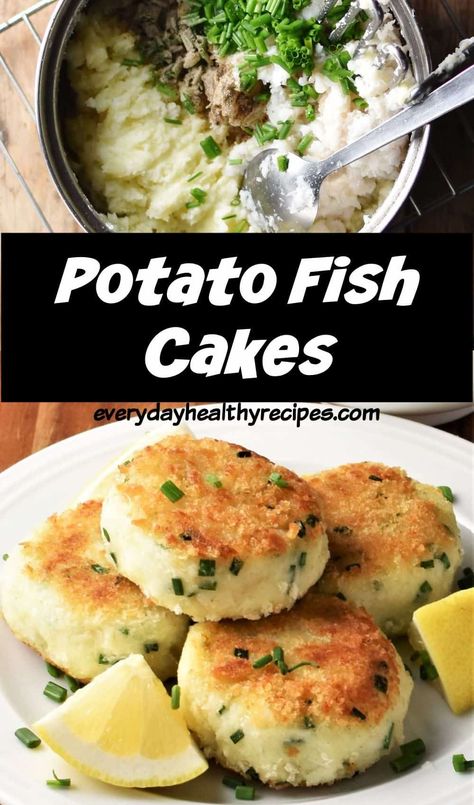 Catfish Cakes, Potato Fish Cakes, Haddock Fish Cakes, Homemade Fish Cakes, Easy Fish Cakes, Cod Fish Cakes, Tuna Fish Cakes, Cod Cakes, Fish Patties