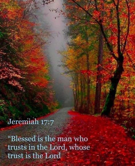 Fall Bible Verses, Inspirational Life Lessons, Bible Verse Background, Fall Images, Soli Deo Gloria, Bible Quotes Images, Shabbat Shalom, Encouraging Bible Verses, Biblical Verses