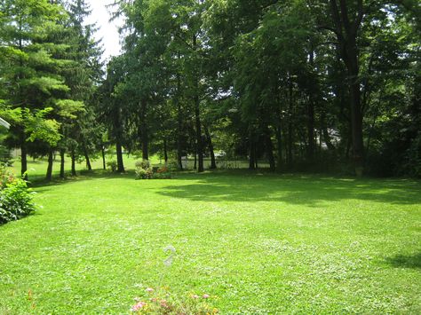 Fresh Cut Grass, Grasses Garden, Dream Land, Cut Hair, Mini Drawings, Sustainable Architecture, Fresh Cut, Back To Nature, Slow Living