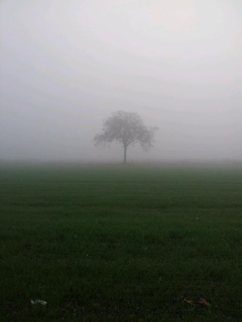 Poison Tree, Landscape Silhouette, I Love Rain, Fairies Dancing, Vampire Goth, Night Scenery, Ends Of The Earth, White Noise, Leica