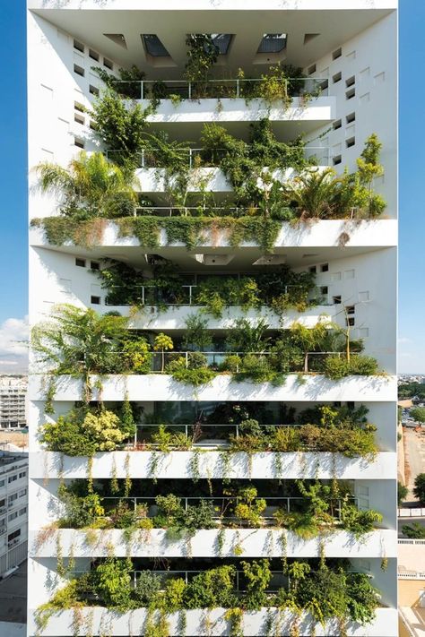 White Walls Transforms the City Silhouette of Nicosia Green Facade, Jean Nouvel, Vertical Landscape, Vertical Gardens, Tower Design, Green Architecture, Facade Architecture, Sustainable Architecture, Green Roof