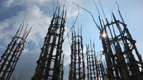 Tree Cathedral – Italy | Atlas Obscura Tree Cathedral, Atlas Obscura, Italian Artist, Utility Pole, In Italy, Italy, Design, Nature