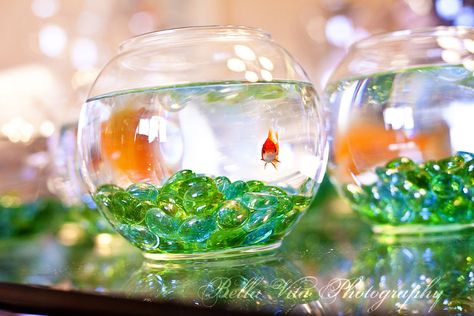 Using a decorated fishbowl as the base for your budget wedding centerpiece lets your creativity shine while keeping costs down! Goldfish Centerpiece, Fish Bowl Centerpiece Wedding, Bowl Centerpieces, Budget Wedding Centerpieces, Fish Bowl Decorations, Fishbowl Centerpiece, Fish Centerpiece, Bohemian Wedding Colors, Gold Centerpiece