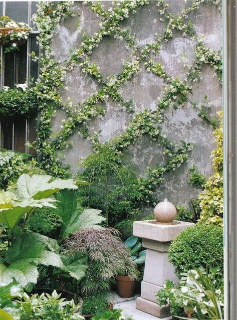 Start you own country garden with a wall... the rest is easy. Want to create your own peaceful Country Garden - click here -  #garden #decorate #homedecorideas #homedecor #porch #patio #countrygarden Laurel Hedge, Garden Vines, Walled Garden, The Secret Garden, Kew Gardens, Climbing Plants, Gorgeous Gardens, Country Gardening, Garden Spaces