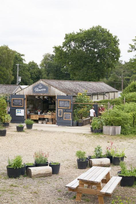 Farm Cafe Ideas, Farm Shop Cafe Ideas, Farm Market Aesthetic, Farm Business Ideas, Farm Shop Ideas, Farm Store Ideas, Farms Market, Agritourism Farms, Farmers Market Stand