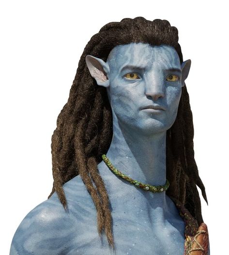 Jake And Neytiri, Navi Avatar, Omatikaya Clan, Avatar Disney, Metkayina Clan, Avatar Cosplay, Sky People, Jake Sully, Avatar 1