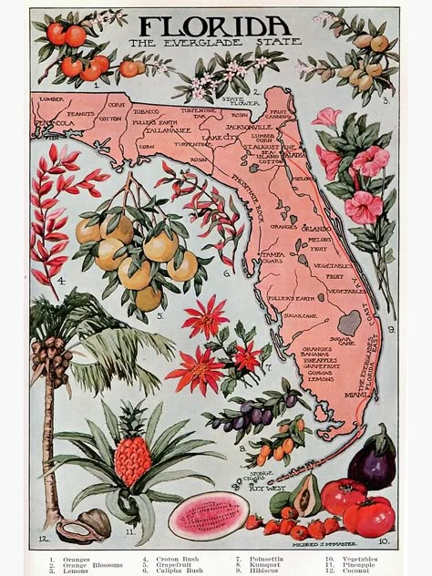 "Vintage Map of Florida (1917)" Poster for Sale by BravuraMedia | Redbubble Jeffrey Eugenides, Match Box Art, Move To Florida, Pocketful Of Sunshine, Maps Aesthetic, Tropical Core, Harrison Fisher, Florida Poster, Artist Posters