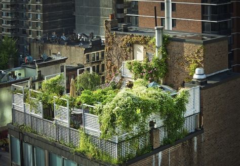 Roof top tent