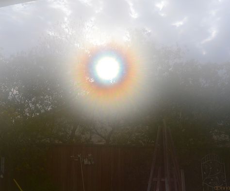 rainbow orb glow in Linda's backyard this is not the sun Bright Lights Aesthetic, Ball Of Light Aesthetic, Sun Aura Aesthetic, Light Prism Aesthetic, Glowing Person, Orb Aesthetic, Sun Fantasy Aesthetic, Glowing Aura Aesthetic, Glowing Orb Aesthetic