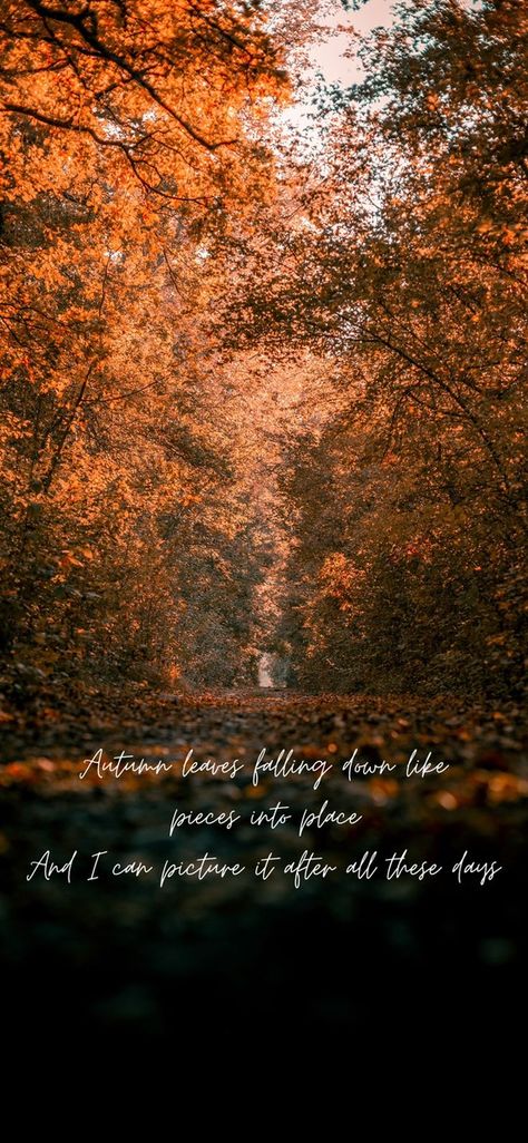 Taylor Swift Fall Lyrics Wallpaper, Fall Aesthetic Wallpaper Taylor Swift, All To Well Lyrics Wallpaper, Taylor Swift October Wallpaper, Autumn Song Lyrics, Taylor Swift Fall Aesthetic Lyrics, All Too Well Wallpaper Lyrics, Taylor Swift Fall Background, Autumn Taylor Swift Wallpaper