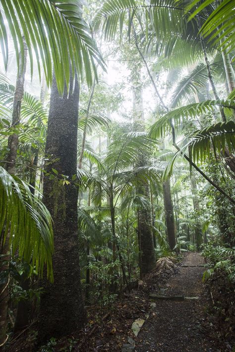 Mackay Queensland, Australia Trip, Grade 5, 2025 Vision, Australia Travel, Camping Trips, Queensland, Hiking Trails, Backpacking