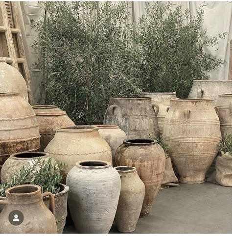 Landscape Pots, Vasos Vintage, Olive Jar, Garden Plant Pots, Flower Pots Outdoor, Outdoor Pots, Italian Garden, Backyard Inspo, Rustic Outdoor