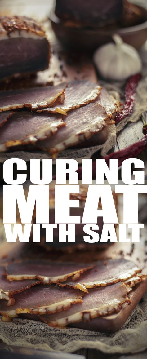 Curing Meat, Cured Pork Loin Recipe, Dried Meat Recipe, Salt Cured Meat, Homemade Cured Meat, Curing Meat At Home, Preserving Meat Without Refrigeration, Salt Curing Meat At Home, Curing Bacon