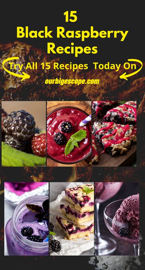 Black Raspberry Cheesecake Bars Recipe Black Raspberry Cheesecake Recipe, Black Raspberry Cheesecake, Black Raspberry Cobbler, Raspberry Cobbler Recipe, Black Raspberry Recipes, Black Raspberry Pie, Raspberry Sorbet Recipe, Raspberry Topping, Raspberry Smoothie Recipes