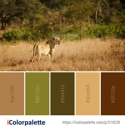 Color Palette Ideas from Wildlife Grassland Ecosystem Image Safari Colors Palette, Safari Theme Color Palette, Safari Wedding Color Palette, African Colour Palette Color Inspiration, Animal Print Color Palette, Animals Color Palette, Wildlife Colour Palette, Savannah Color Palette, Jungle Theme Color Palette