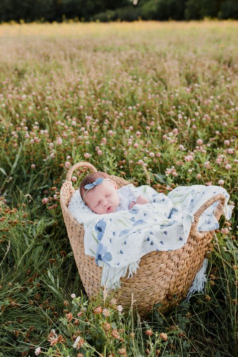 Newborn And Mommy Pictures Outdoors, Newborn Photo Shoot Ideas Outside, Outdoor Pictures With Newborn, Newborn Wildflower Photoshoot, Wildflower Newborn Photography, Field Newborn Pictures, Newborn Photo Shoot Outside, Newborn Nature Photography, Field Newborn Photoshoot