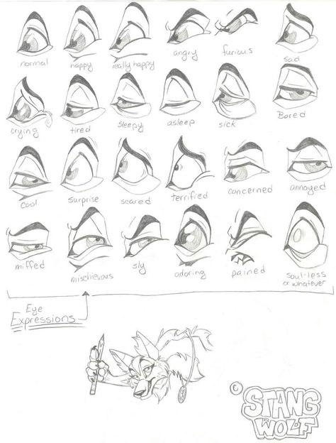 Eye Expressions by ~StangWolf on deviantART Animal Expressions Drawing, Cat Expressions Drawing, Eyes Expression, Disney Eyes, Facial Expressions Drawing, Eyes Ideas, Lion King Drawings, Realistic Eye Drawing, Eye Expressions