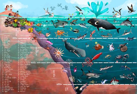 Green Humour Zones Of The Ocean, Layers Of The Ocean, Ocean Zones, Baleen Whales, Coral Bleaching, Earth Hour, Clouded Leopard, Komodo Dragon, Nature Conservation