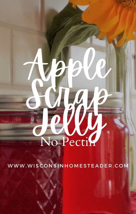 Apple Scrap Jelly Recipe- No Pectin - Wisconsin Homesteader Uses For Apple Peels, Apple Peeling Jelly, Uses For Apple Peels And Cores, Small Batch Apple Scrap Jelly, Apple Scraps Jelly, Apple Peal Jam, Apple Scrap Jelly Recipe Canning, Apple Jelly No Pectin, Canning Apple Scrap Jelly