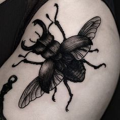 An incredible depictions of a stag beetle by Ilja Hummel (IG— iljahummel). #black #illustrative #IljaHummel #stagbeetle Dark Beetle Tattoo, Black Bug Tattoo, Winged Beetle Tattoo, Black Beetle Tattoo, Dark Shaded Tattoos, Stag Beetle Tattoo, Beetle Tattoo, Bug Tattoo, Insect Tattoo