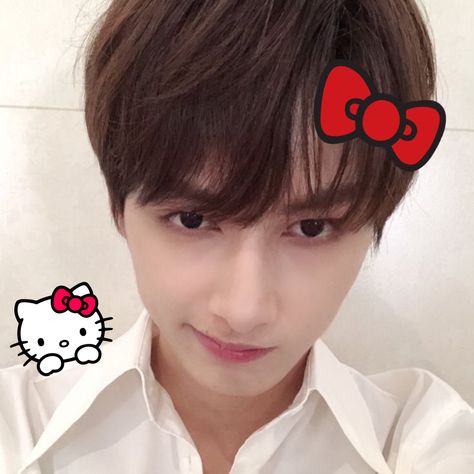 Seventeen Junhui, Soft Pink Theme, Wen Junhui, Music Collage, Cute Backgrounds For Phones, Seventeen Jun, Seventeen Album, I Luv U, Cat Icon