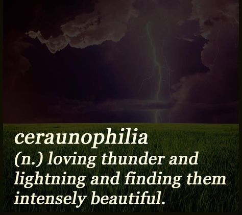 Twitter Thunderstorms Quotes, I Love Thunderstorms, Storm Quotes, Quotes Nature, Nature Photography Tips, Weather Quotes, Rain And Thunder, Savage Quotes, Lovers Quotes