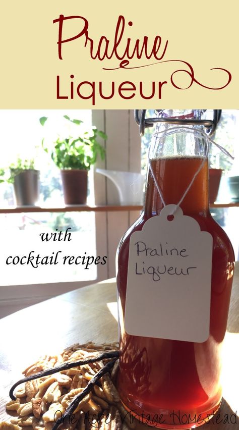 Praline Liqueur and Pecan Extract Homemade Liqueur Recipes, Marshmallow Vodka, Brown Sugar Simple Syrup, Strawberry Liqueur, Vodka Mixes, Homemade Alcohol, Homemade Liquor, Liquor Recipes, Moonshine Recipes