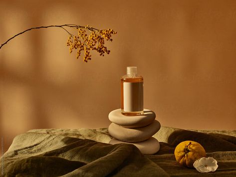 "Delicate Skincare Earthy Still Life" by Stocksy Contributor "Ohlamour Studio" - Stocksy Earthy Skincare Aesthetic, Earthy Product Photography, Flat Lay Photos, Products Photography, Beauty Products Photography, Skincare Products, Be Still, Flat Lay, Natural Ingredients