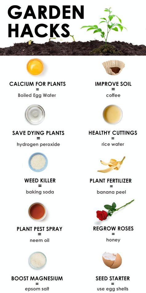 Garden Remedies, Gardening Projects, Vegetable Garden Planning, Plant Care Houseplant, Garden Hacks, Vegetable Garden Diy, Gardening Hacks, Plant Hacks, Plant Nutrients