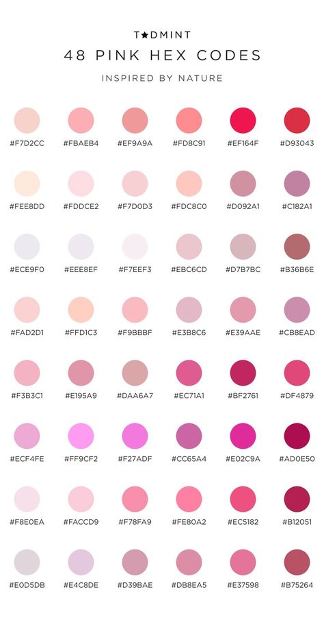 Pink Color Palettes for Web Design: A Quick Guide — Design Resources and Merchandise for Creatives | TADMINT Pink Colour Palette Hex Codes, Goodnotes Hex Codes Pink, Google Calendar Color Scheme Hex Codes Pink, Canva Hex Colors, Goodnotes Highlighter Hex Codes Pastel, Pastel Pink Color Code, Soft Pink Color Palette Hex Code, Canvas Color Codes Pink, Canva Pink Color Code