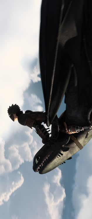 I wonder if Hiccup is smiling underneath his helmet, 'cuz Toothless certainly is. Hiccup Riding Toothless, Hiccup And Toothless Flying, Httyd Toothless And Hiccup, Pikachu And Stitch, Toothless Flying, Toothless Hiccup, Hiccup Toothless, Kubo And The Two Strings, Httyd 2