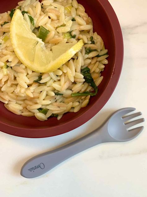 Quick Lemon Orzo Pasta Salad | BLW and Toddler Recipe Toddler Orzo Recipe, Orzo Pasta Salad Recipe, Orzo Pasta Recipes, Tuna Pasta Bake, Lemon Orzo, Orzo Pasta Salad, Slow Cooked Chicken, Orzo Recipes, Orzo Pasta