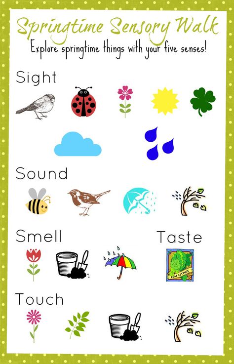 A Springtime Sensory Walk for Kids: Backyard Fun | Melissa & Doug Blog Spring Worksheets Preschool, Sensory Walk, Spring Worksheet, Spring Lessons, Spring Classroom, Signs Of Spring, Spring Preschool, Preschool Science, Outdoor Learning