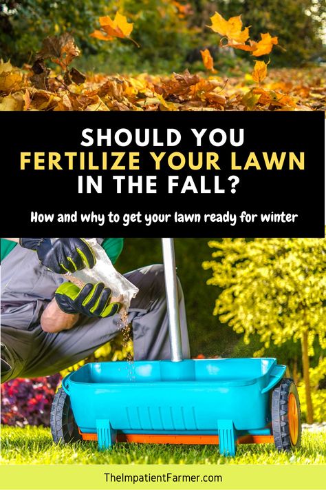 Lawn Fertilizer Diy, Commercial Lawn Mowers, Winter Lawn Care, Grass Fertilizer, Fall Lawn, Lawn Food, Winter Sets, Lawn Alternatives, Weeds In Lawn