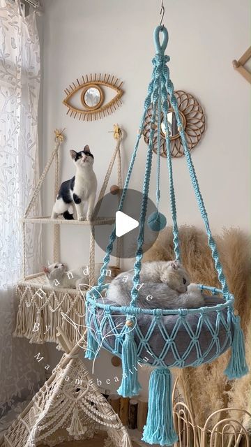 Emma Yang on Instagram: "Check out these cute cat hammocks we create, build a nice playground for your cat with our macrame design:)
CHECK THE LINKINBIO for the price and the details if you are Interested in this design.
.
.
.
#Cathammock #Catbed #cattoys #MacrameCatHammock #CatLovers #PetFurniture #FelineFriends #KittyComfort #WhimsicalStyle #PetAccessories #RelaxationStation #catnaptime #etsycreatorco #FestiveEtsyFinds" Macrame Cat Hammock, Cat Playground, Cat Hammock, Cute Cat Gif, Whimsical Fashion, Macrame Design, Cat Playing, Pet Furniture, Cat Nap