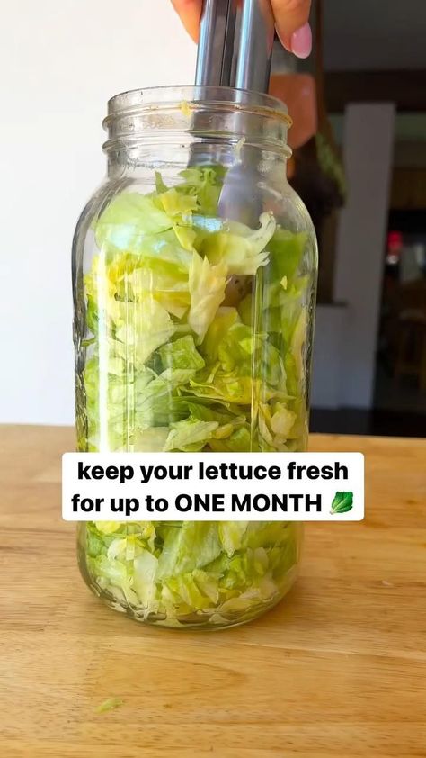 Fresh Lettuce Storage Hack in 2022 | Amazing food hacks, Food, Vegan recipes healthy Lettuce Storage, Prepper Hacks, Food Saver Hacks, Veggie Storage, Basic Foods, Plastic Knife, Amazing Food Hacks, Prevent Food Waste, Fruit And Vegetable Storage